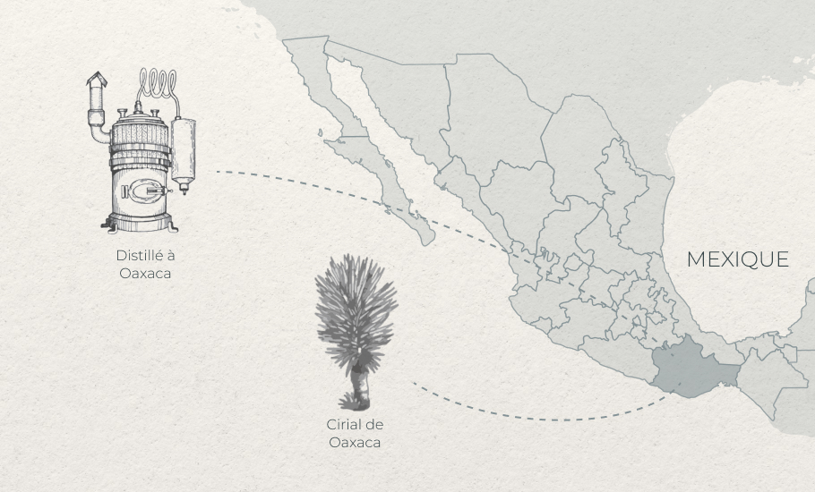 FR Cirial from Oaxaca Distilled in Oaxaca